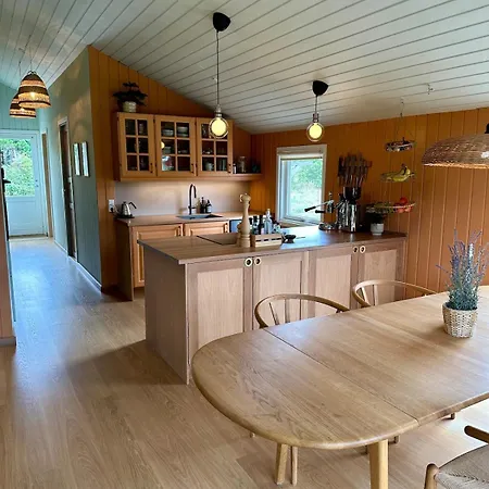 Modern With Wood-fired Hot Tub Feriehus